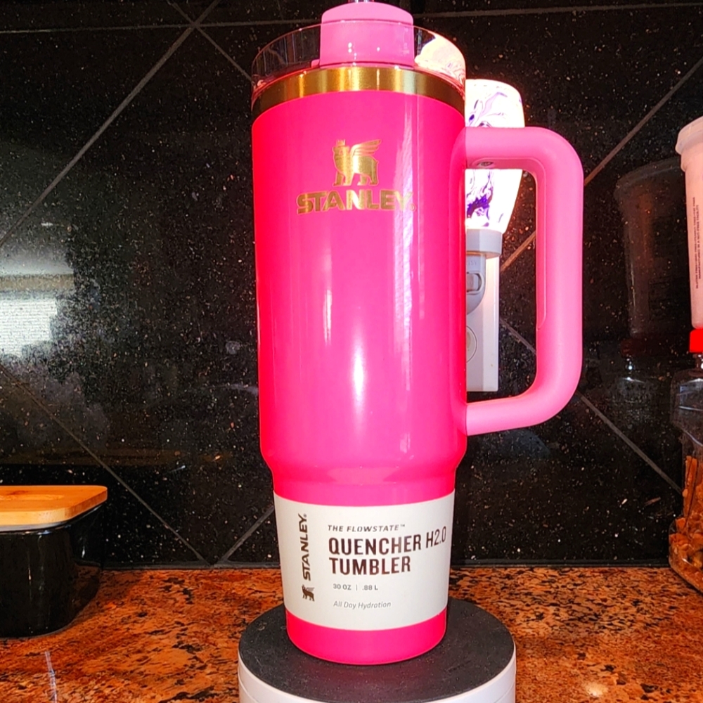 30oz Stanley Pink Parade